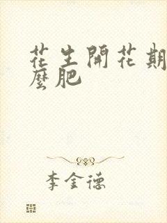 花生开花期用什么肥