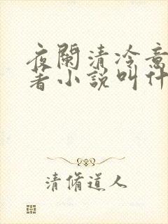 夜阑清冷意欢原著小说叫什么