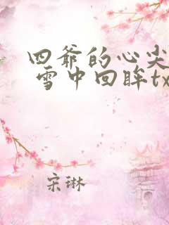 四爷的心尖宠妃 雪中回眸txt