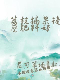 荔枝摘果后施什么肥料好