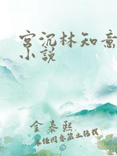 宫沉林知意正版小说