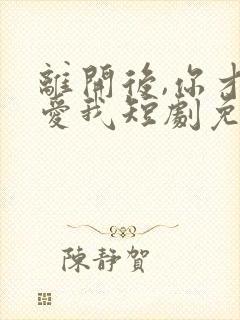 离开后,你才说爱我短剧免费观看