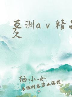 亚洲aⅴ精品久久