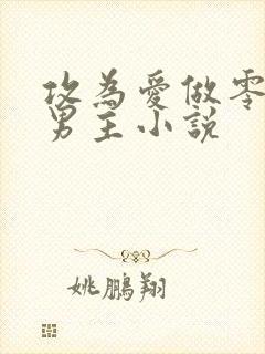 攻为爱做零的双男主小说