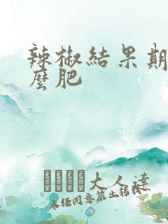 辣椒结果期施什么肥