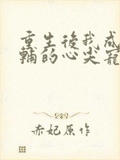 重生后我成了首辅的心尖宠