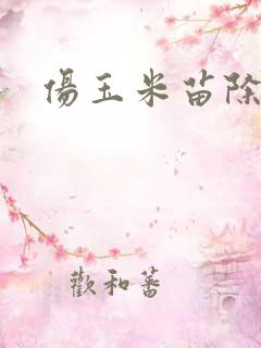 伤玉米苗除草剂