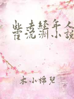 此去经年人未还霍沉洲小说