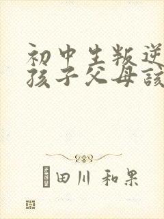 初中生叛逆期的孩子父母该怎么沟通