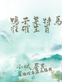 鸭子是特马打一准确生肖