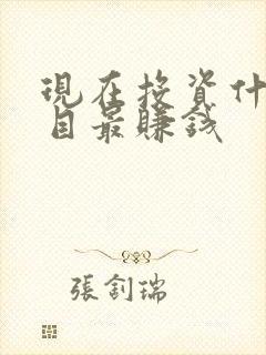 现在投资什么项目最赚钱