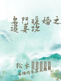 名门暖婚之权爷追妻攻