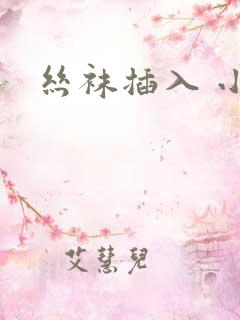 丝袜插入 小说