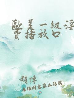欧美一级淫片免费播放口