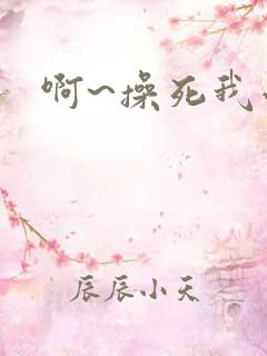 啊~操死我小说