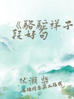 《骆驼祥子》好段好句 《骆驼祥子》好段好句
