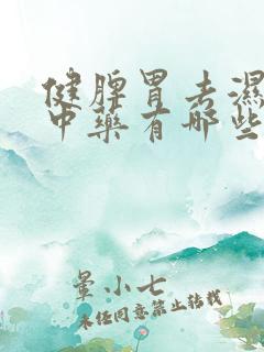 健脾胃去湿气的中药有哪些