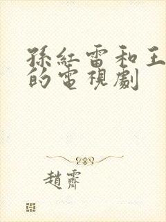 孙红雷和王茜演的电视剧