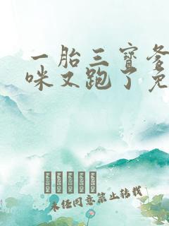 一胎三宝爹地妈咪又跑了免费阅读全文 一胎三宝爹地妈咪又跑了免费阅读全文