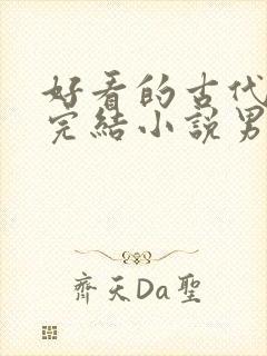 好看的古代言情完结小说男主高冷