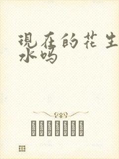现在的花生能浇水吗