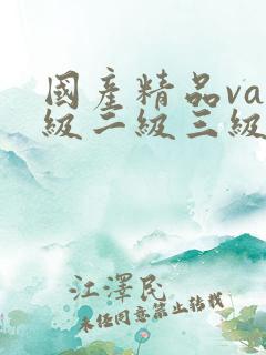 国产精品va一级二级三级