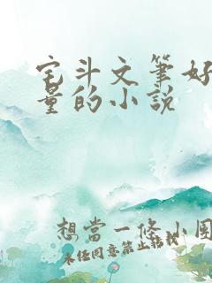 宅斗文笔好高质量的小说