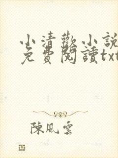 小清欢小说全文免费阅读txt