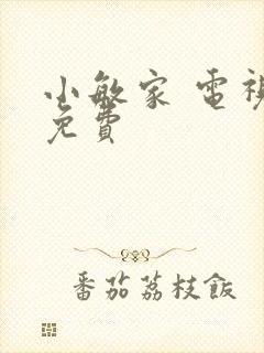 小敏家 电视剧免费