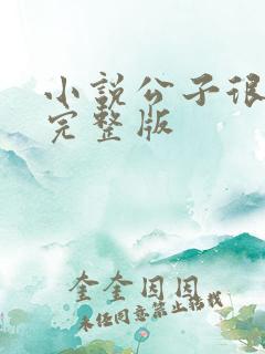 小说公子很凶猛完整版