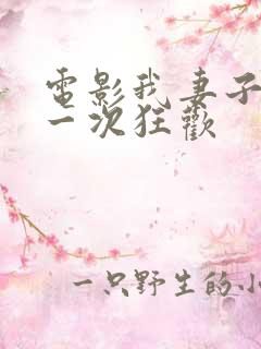 电影我妻子的第一次狂欢 电影我妻子的第一次狂欢