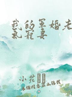 我的军婚老公霸气宠妻