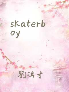 skaterboy skaterboy