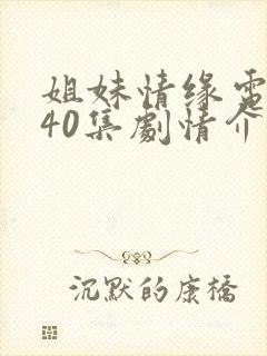 姐妹情缘电视剧40集剧情介绍