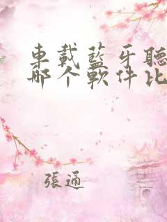 车载蓝牙听音乐哪个软件比较好