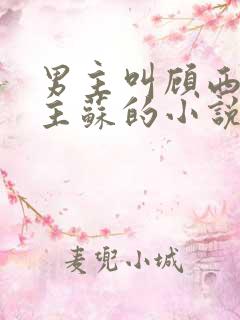 男主叫顾西洲女主苏的小说