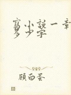写小说一章大概多少字