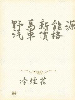 野马新能源电动汽车价格