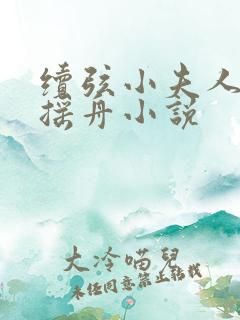 续弦小夫人 江摇舟小说