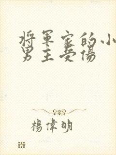 将军家的小娘子男主受伤