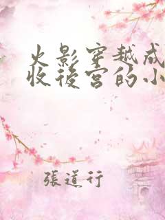 火影穿越成鸣人收后宫的小说