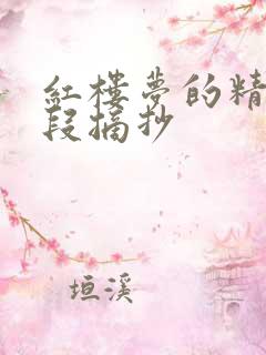 红楼梦的精彩句段摘抄