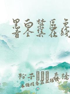 黑白禁区免费观看全集在线观看