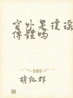 窗外是琼瑶的自传体吗