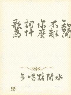 歌词你不知道我为什么离开你