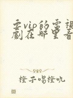 要vip的电视剧在哪里看免费