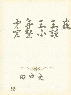 少年王王巍免费完整小说