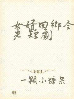 女婿回乡全村风光 短剧