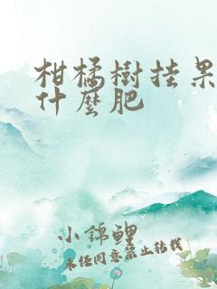 柑橘树挂果后施什么肥