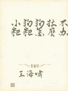 小狗狗拉不出来粑粑怎么办